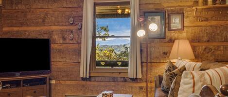 Télévision, cheminée, livres