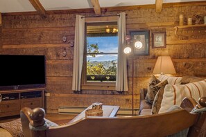 TV, fireplace, books