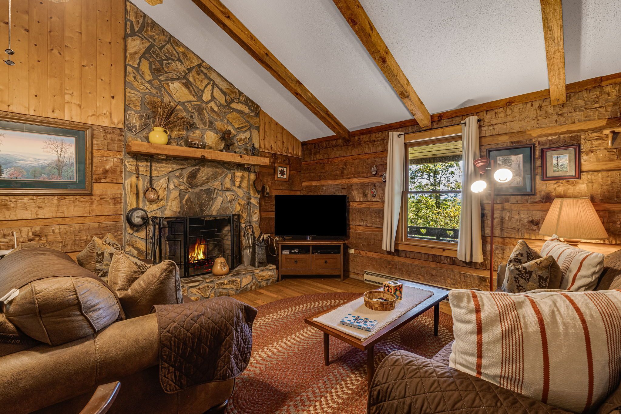 Télévision, cheminée, livres