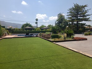 A well-maintained lawn with a pool, surrounded by various plants and trees.