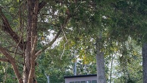 A cabin with a wooden deck and a fenced area, surrounded by trees and grass.