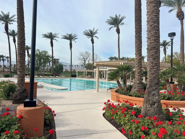 Pool - !!STUNNING newly remodeled 2000 sqft, 4 bedroom 3 baths house!! (Palm Desert)