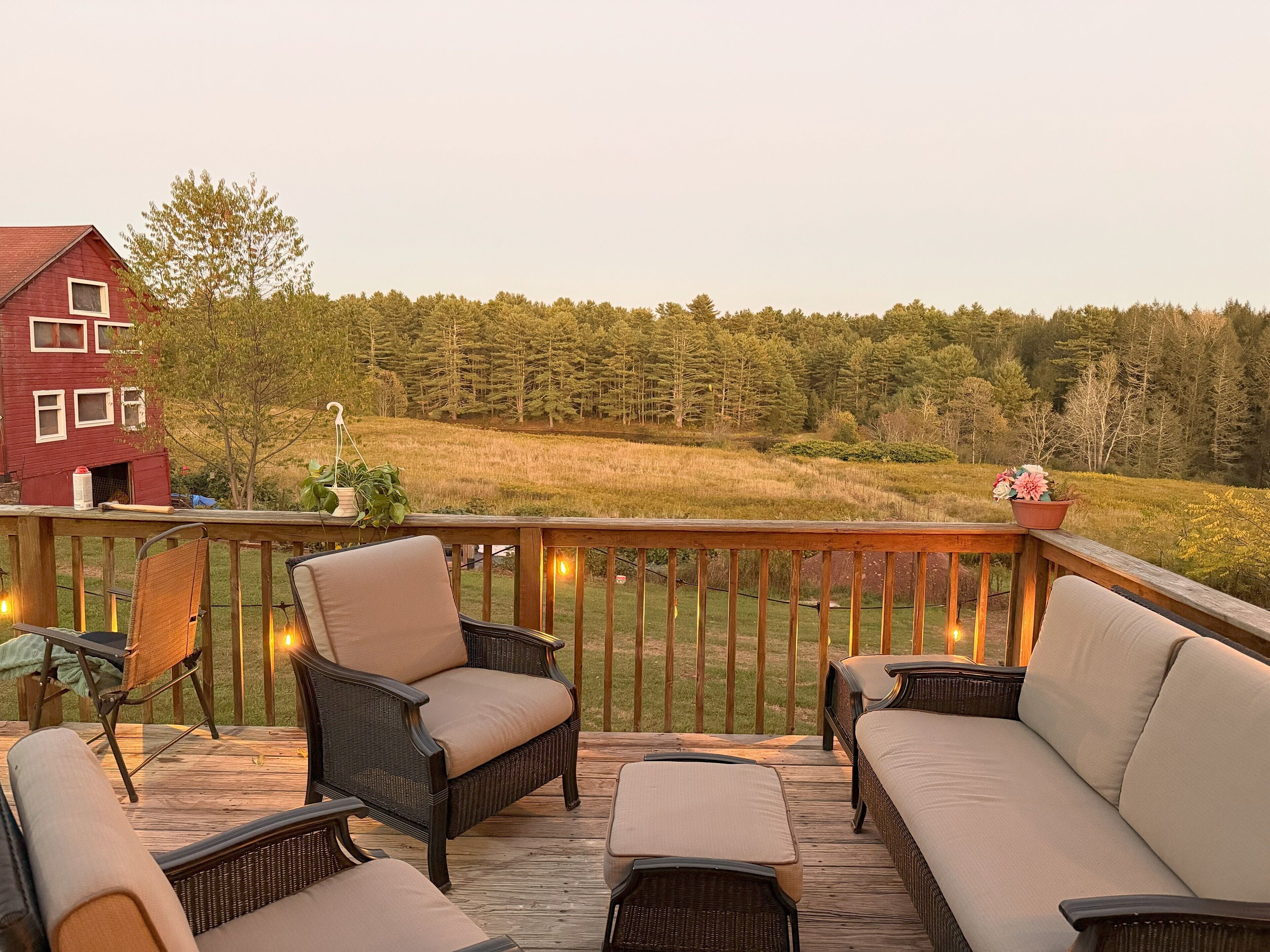 Overnattingsstedets uteområder