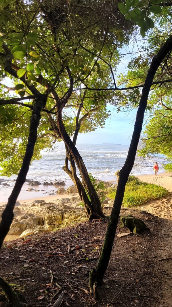 Beach - Aruna House (Main) - Maraú Peninsula (Maraú)