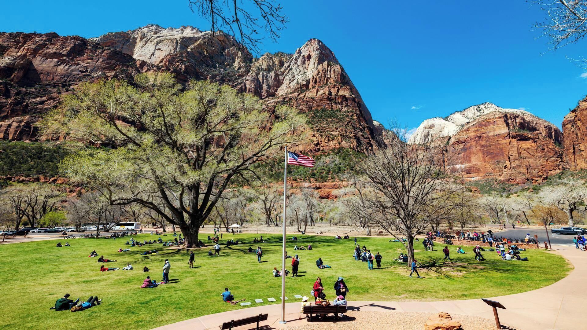 A park with a large tree, a flag, and mountains in the background.