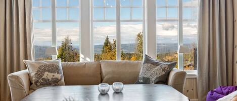 TV, fireplace, video games