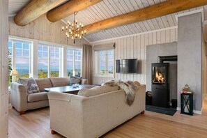 TV, fireplace, video games