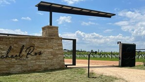 L'ingresso di una cantina con un muro in pietra, un pergolato e un vigneto sullo sfondo.