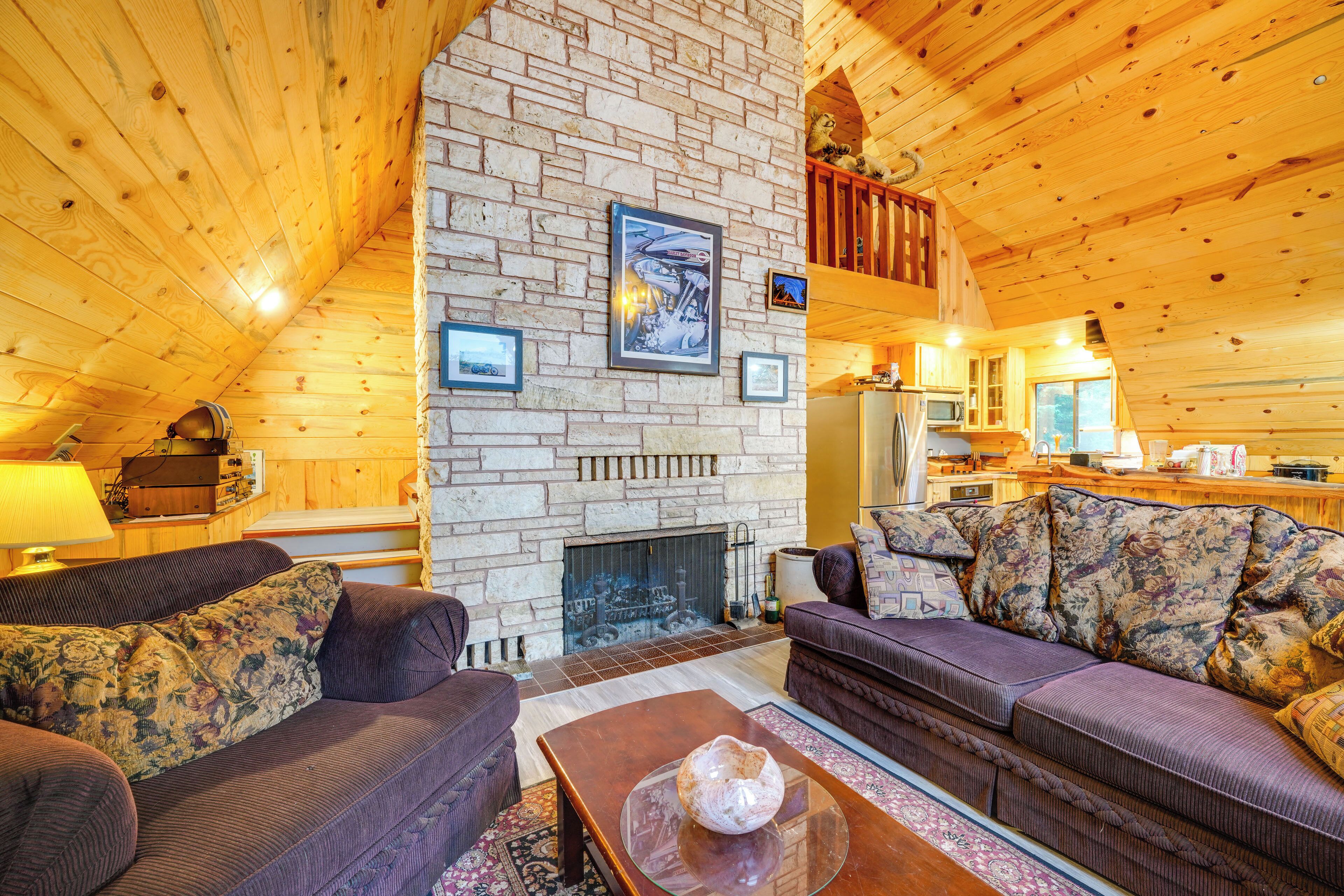 TV, fireplace, books, video library