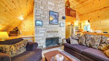 TV, fireplace, books, video library