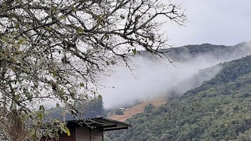 Esterni