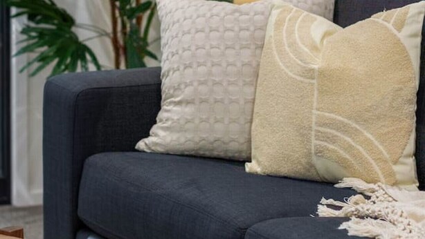 A dark-colored sofa with three pillows, a lamp, and a plant in a room with a white door and a framed picture on the wall. - Urban Utopia 2 Bedroom Retreat (Christchurch)