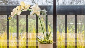Una mesa de madera con sillas, una planta en maceta con flores blancas y vistas a hierba alta a través de una baranda negra.