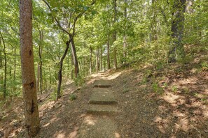 Un sendero boscoso con escalones que suben.