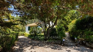 A gravel path leading to a house surrounded by dense greenery.