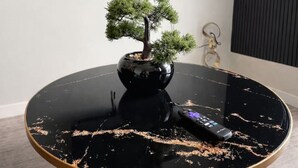 A round table with a bonsai tree, a remote control, and a TV displaying the Netflix logo. - Affordable Classy Studio in Downtown Des Moines! (Des Moines)