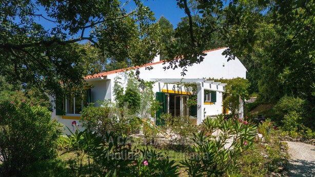 Ảnh chưa phân loại, 1 trong số 27 ảnh, nút