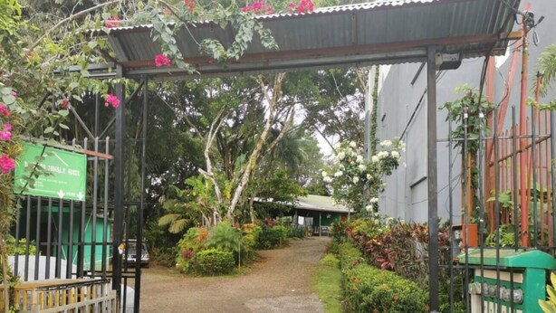 A garden entrance with a metal gate, surrounded by lush greenery and flowering plants. - Cozy "LORITO" Apartment at MANUEL ANTONIO / 4 People (Quepos)