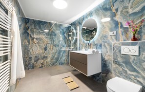 Shower, hair dryer