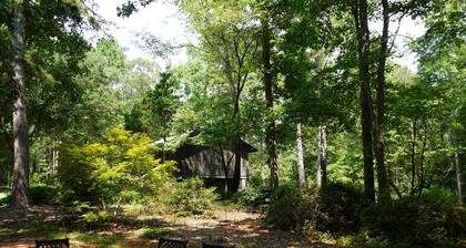 Lakefront Log Cabin + Wooded Paradise + Close to Clemson + 2 Kayaks