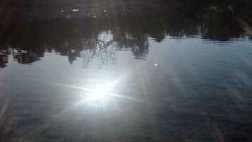 Altres