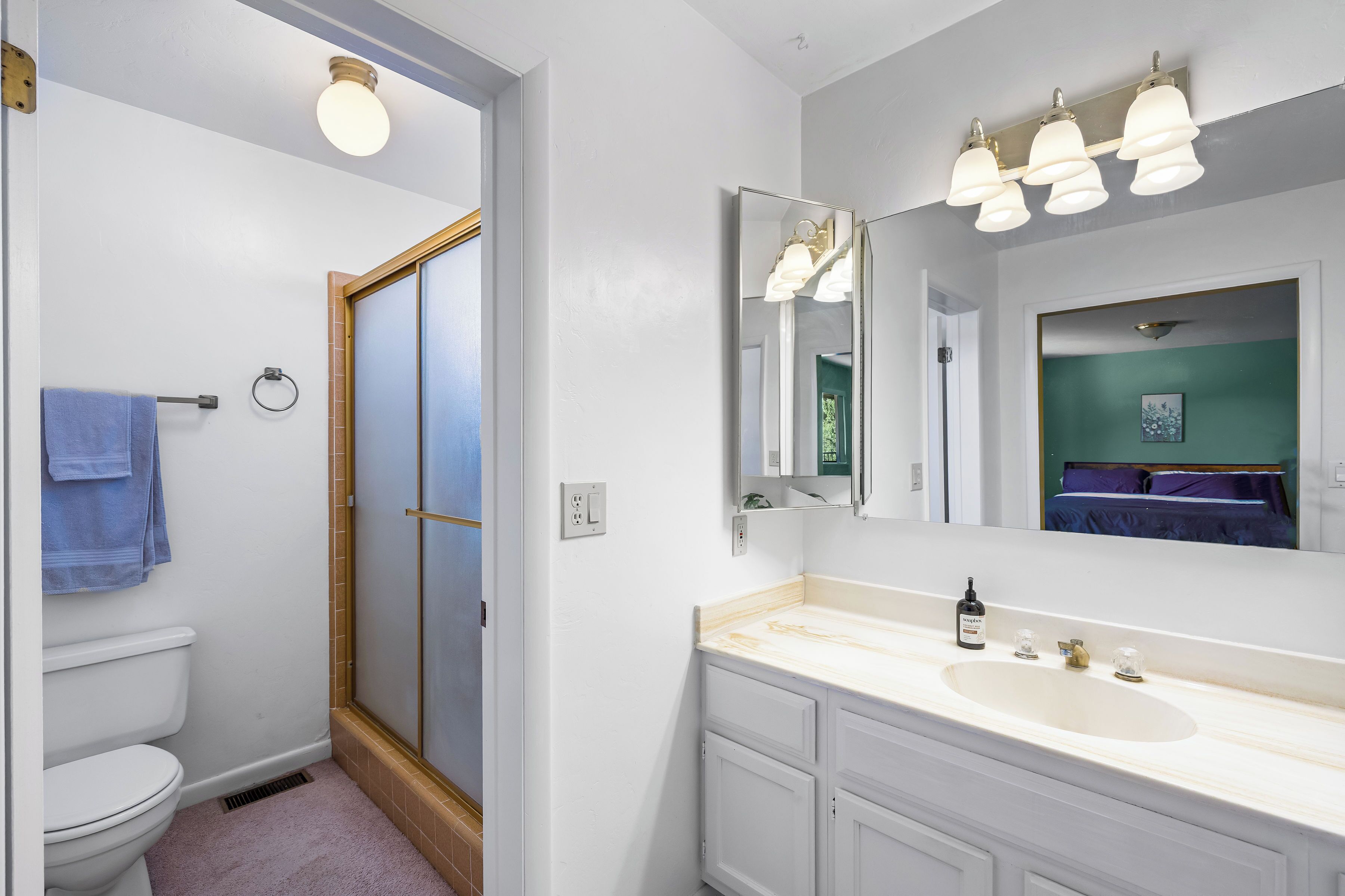 Hair dryer, towels, soap, shampoo