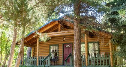 Cozy Forest Cottage