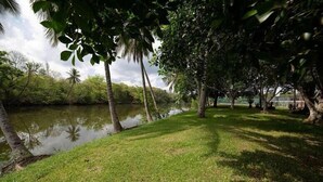 A grassy area with trees and a body of water.