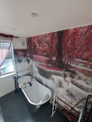 Bathroom - Spacious 3B Home With Garden In Central Ipswich (Ipswich)