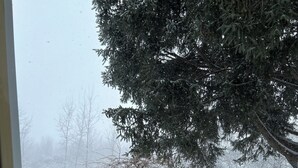 Ein verschneiter Außenbereich mit einer Holzterrasse, zwei rote Pflanzkästen mit schneebedeckten Pflanzen und einer Schaukel im Hintergrund.