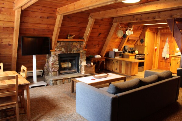 Smart TV, fireplace, books