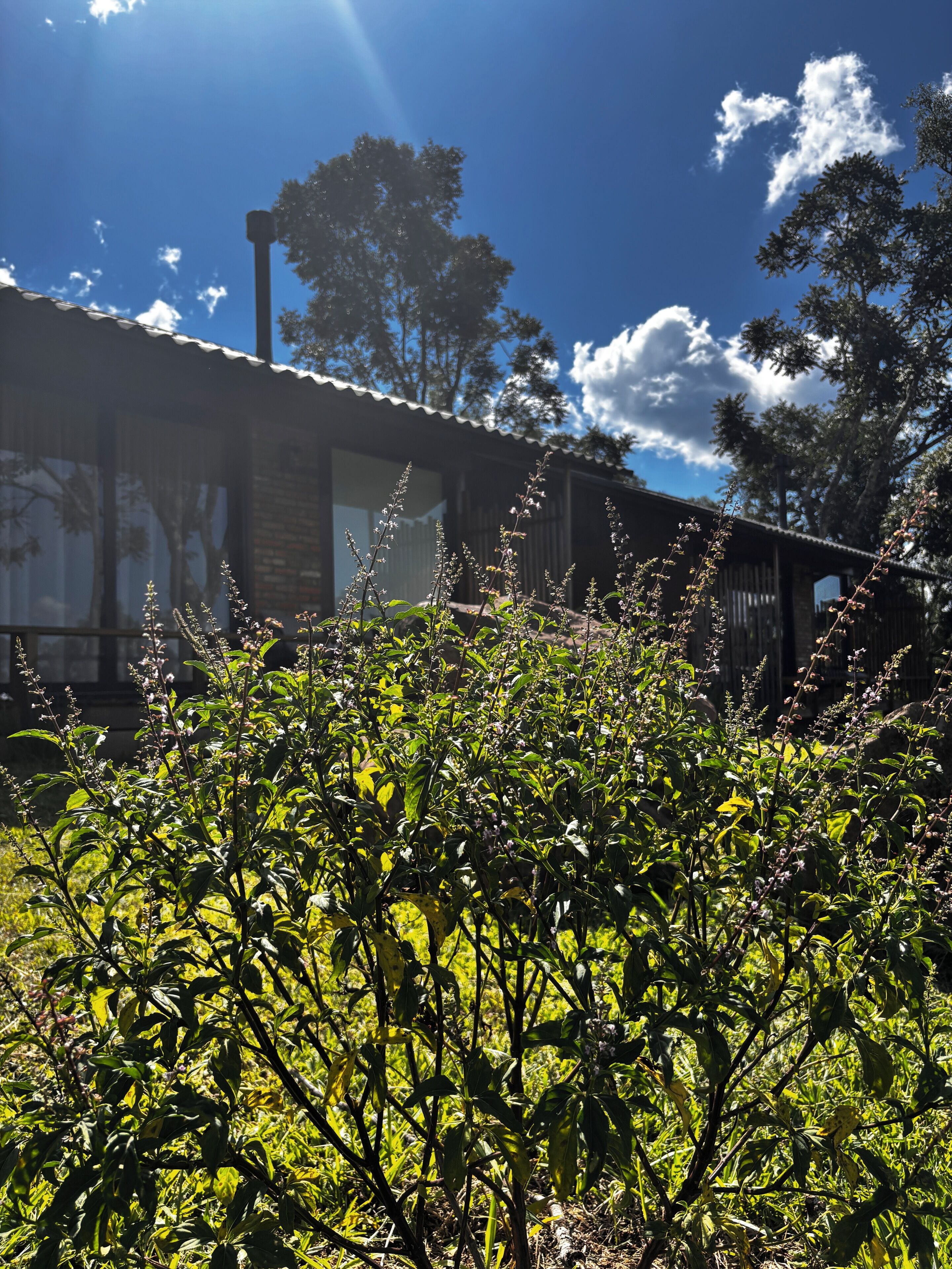 Fachada da propriedade