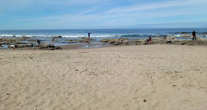 Coastal Adventures, Lake, Ocean, Casinos, Hiking