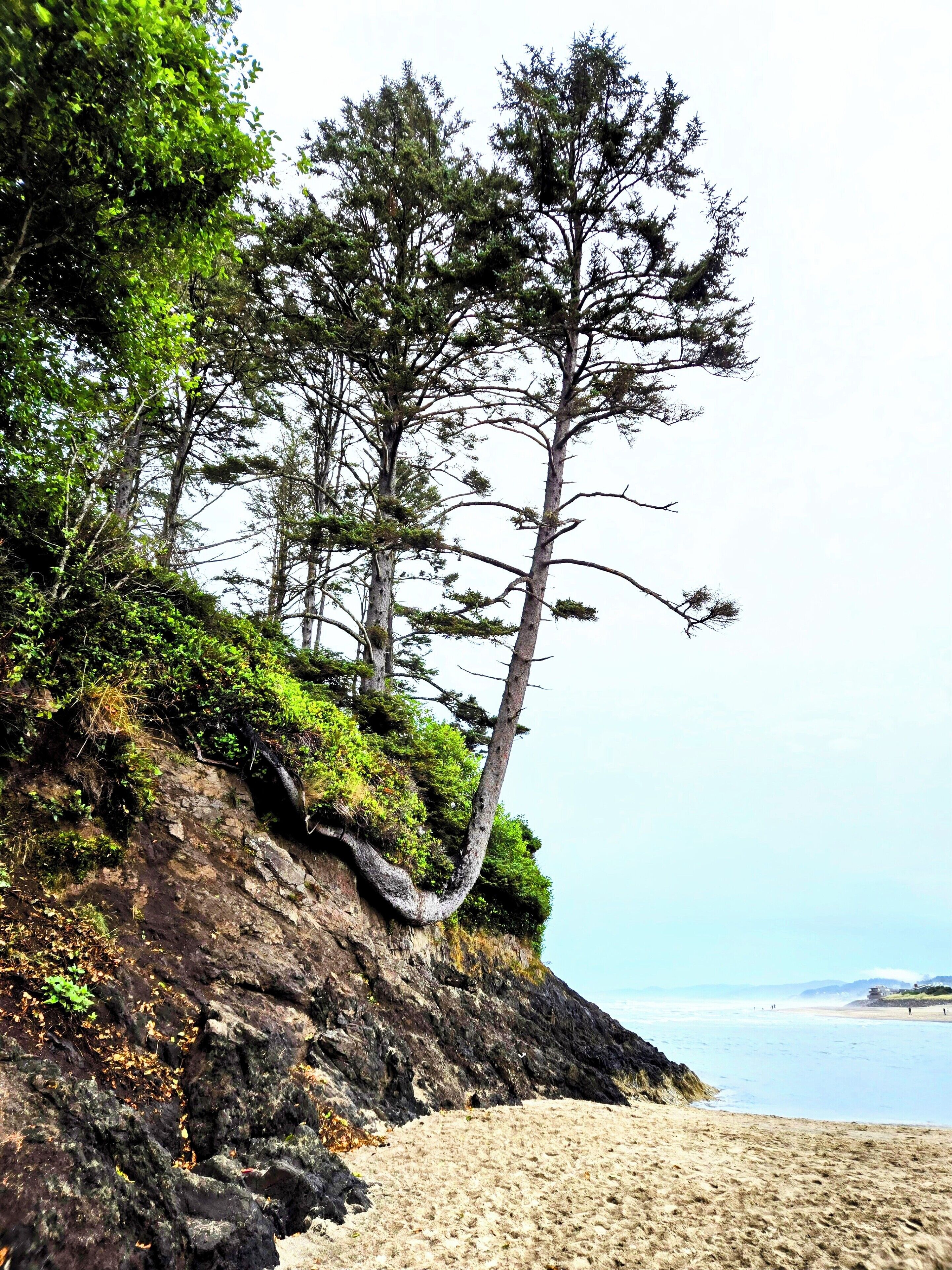 Rumah, 3 kamar tidur, balkon, pemandangan kebun | Pantai