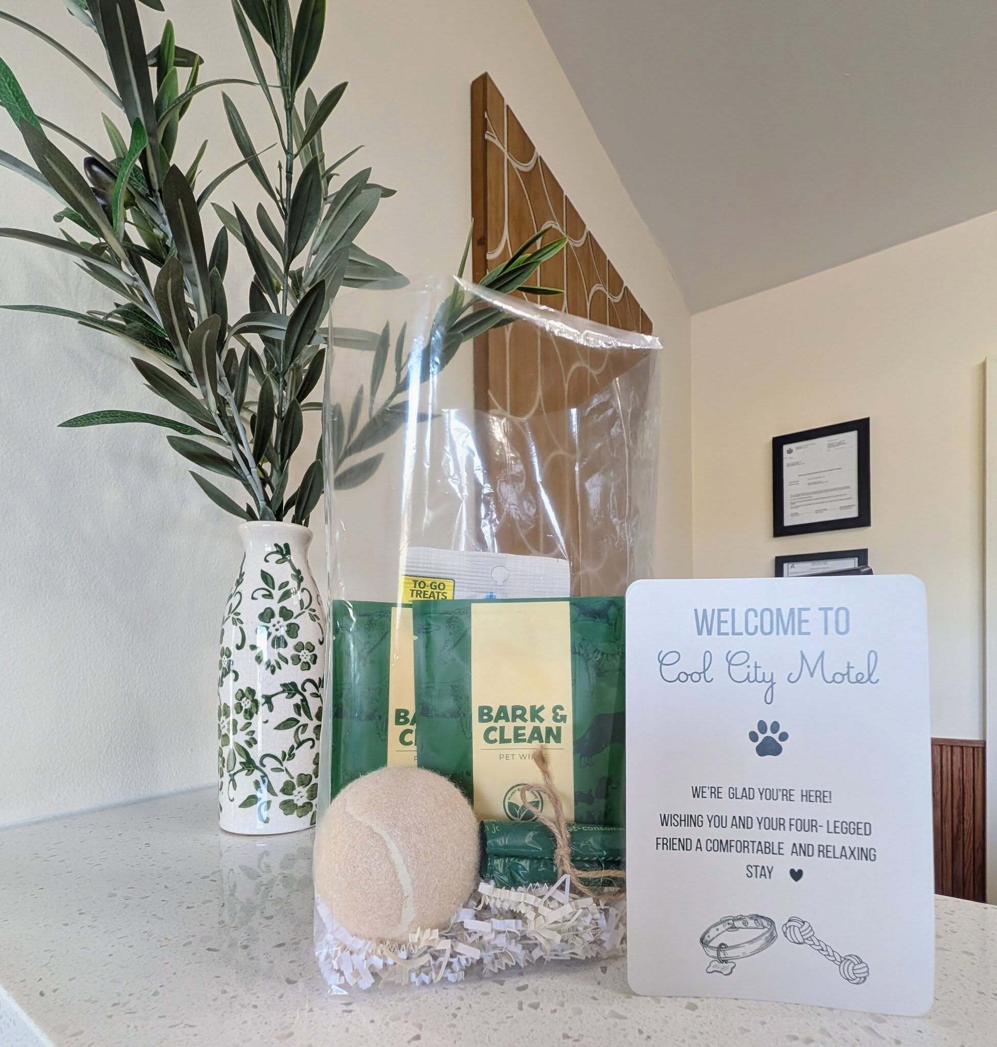 A welcome sign at Cool City Motel, a pet bed, a plant, and pet treat bags.