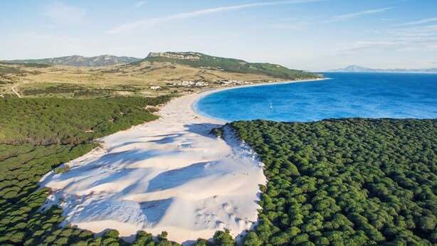 Eine Luftaufnahme einer Küstenlandschaft mit sandigem Strand, dichtem Grünwald und einer entfernten Hügelkette mit Gebäuden.