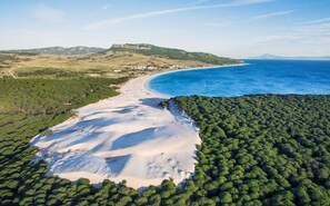 Beach - Your perfect summer between Cadiz and the beach - Villa exclusiva (San Fernando)
