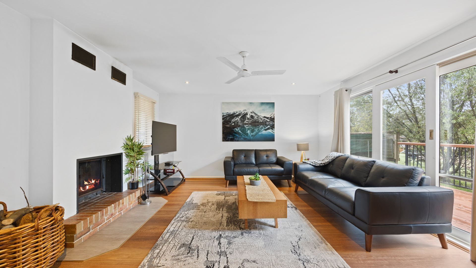 Televisión y libros 