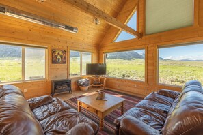 Télévision, cheminée