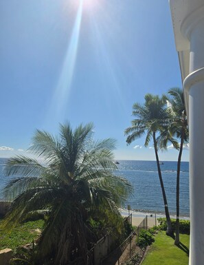 Property grounds - New Listing – Quam Properties: Spacious 1BD with Mountain and Ocean Views (Lahaina)