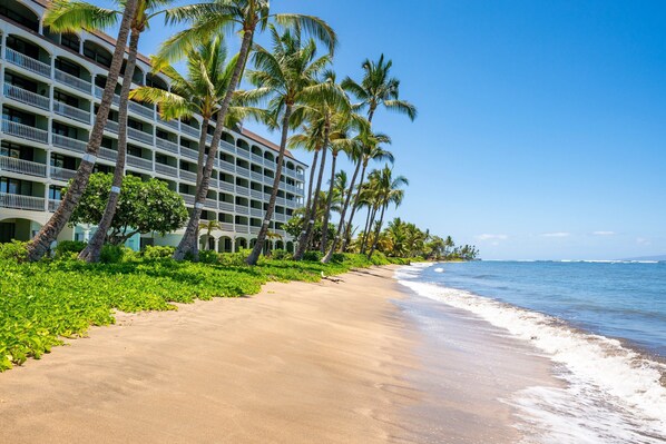 Beach - New Listing – Quam Properties: Spacious 1BD with Mountain and Ocean Views (Lahaina)