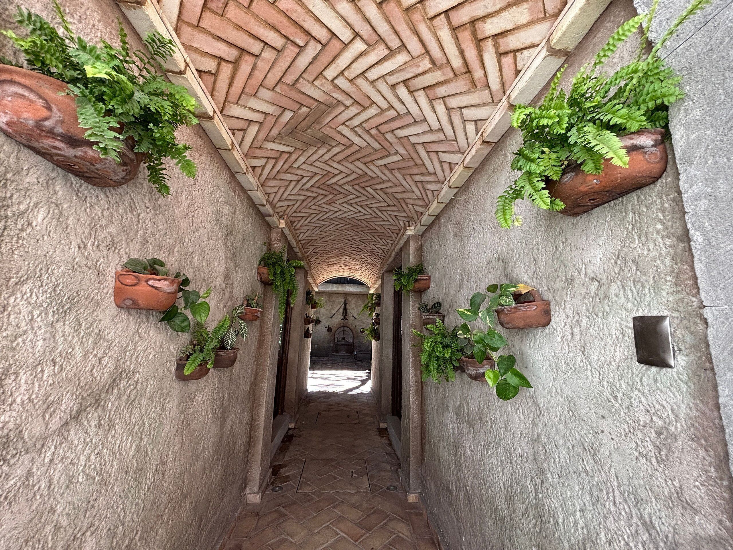 Apartamento básico | Área da propriedade