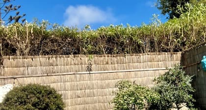Loft Santo Domingo-Chile, beach, golf, countryside, city, habitat, Neruda museum and more