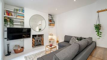 TV, fireplace, books