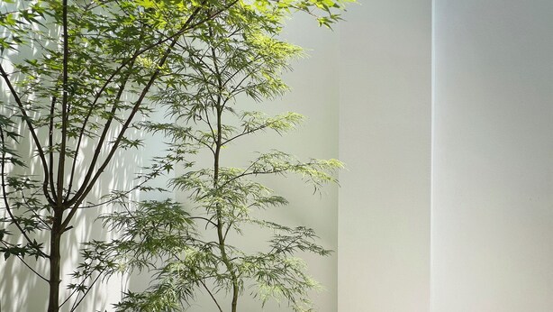 A serene indoor garden with a bamboo tree, pebbles, and various plants. - KawaKawa 2-minute walk from Kiyomizu Gojo Station, Kyoto, near Kiyomizu Temple and Kamo River, accommodates up to 6 people, luggage storage available, modern Japanese-style villa, close to famous sightseeing spots, travel with family and friends (京都市東山区問屋町通五条下る三丁目東橘町)