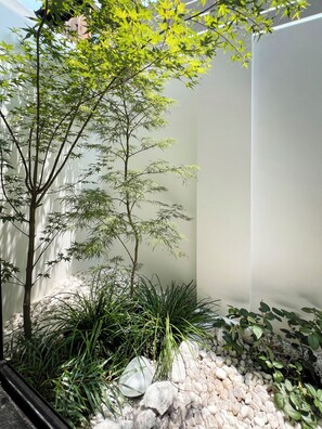 A serene indoor garden with a bamboo tree, pebbles, and various plants.