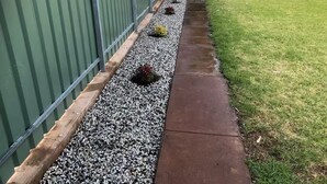 Un sendero bordeado de pequeñas plantas y una cerca verde.