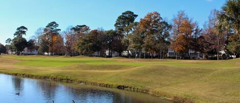 Un campo de golf con un estanque y patos, rodeado de árboles y casas.