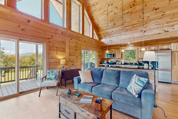 TV, fireplace, DVD player, books