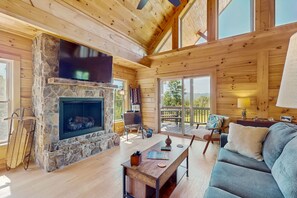 TV, fireplace, DVD player, books